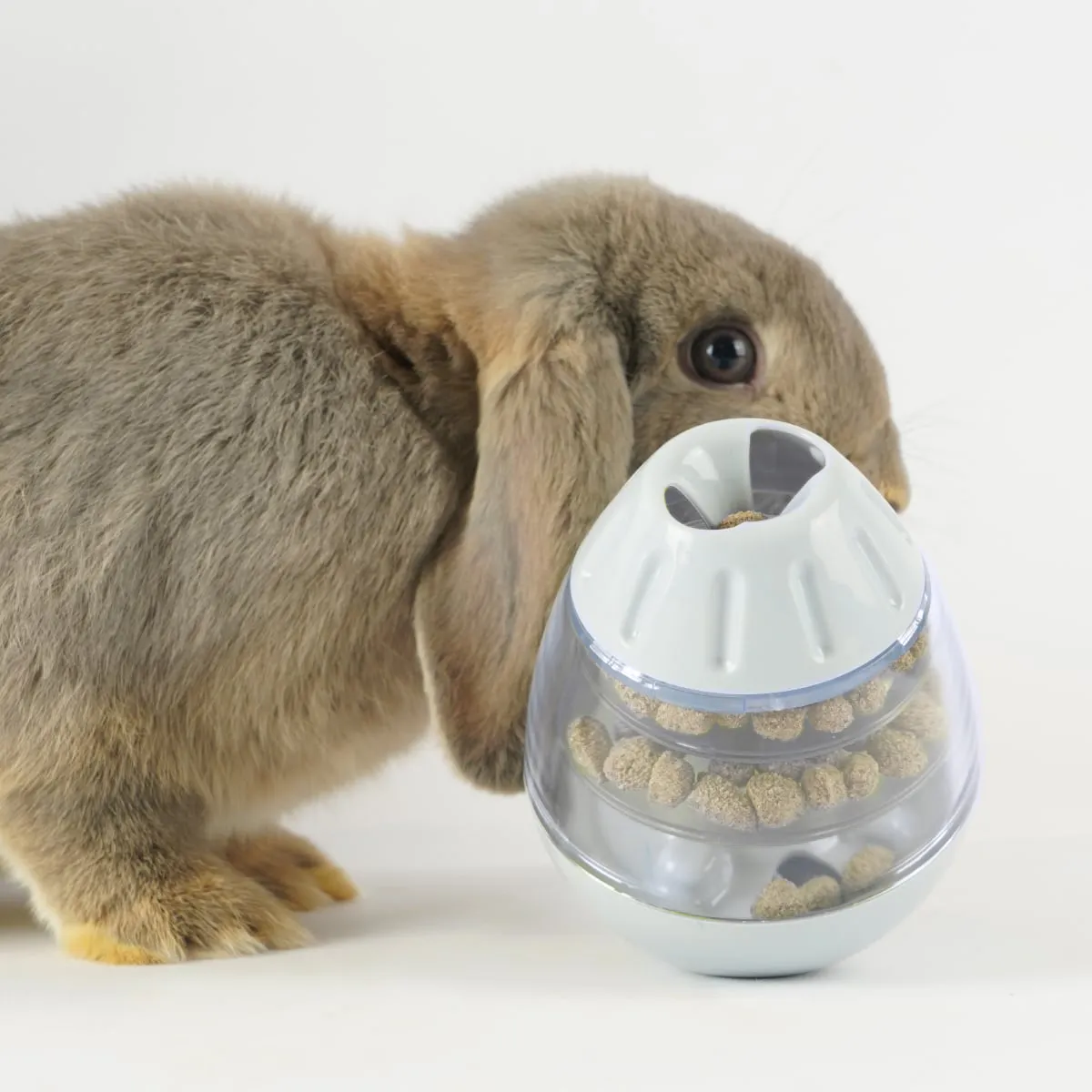 Jouw Konijn Originals Wiggle & Find snackbal