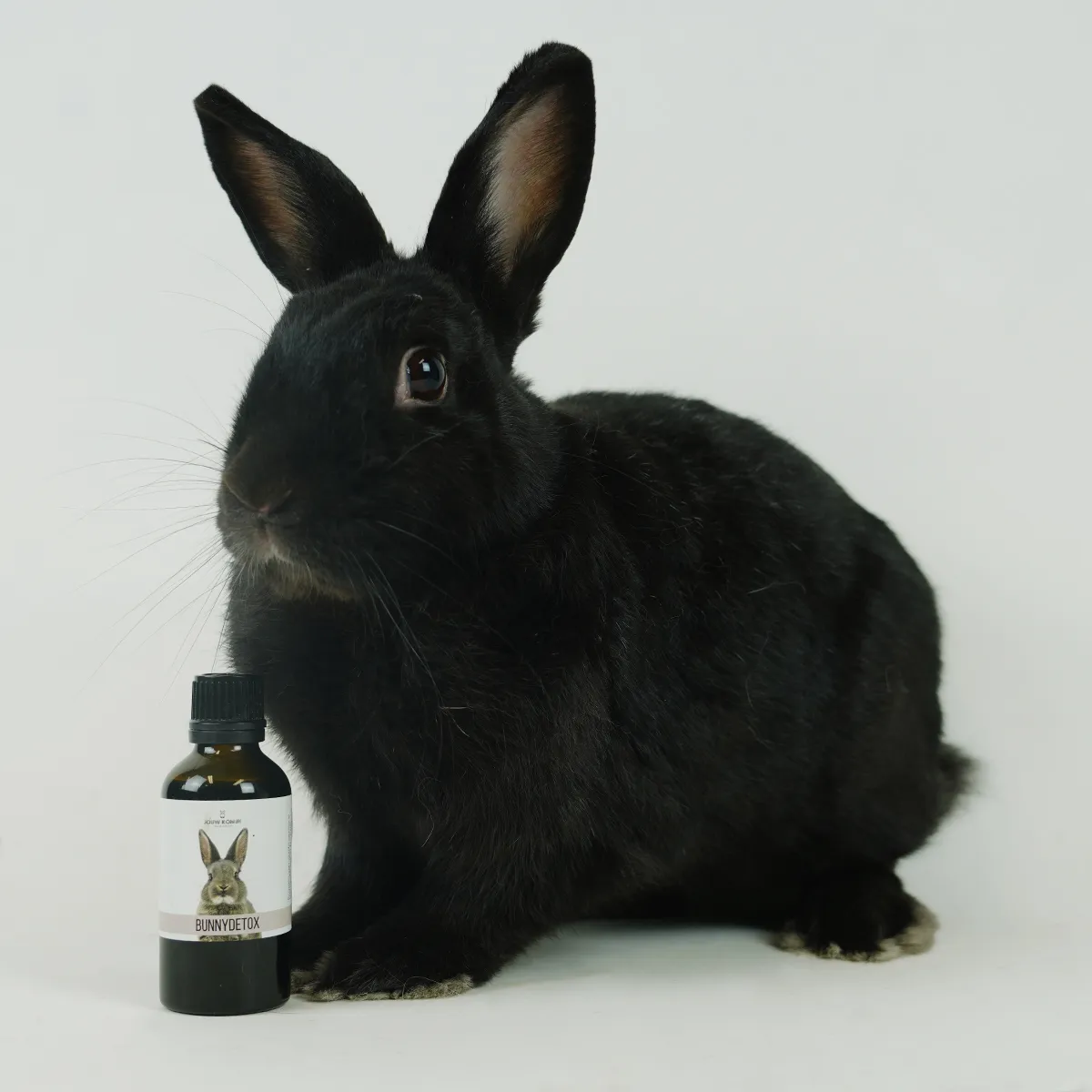 Jouw Konijn Originals Bunny Detox supplement chlorofyl alfalfa