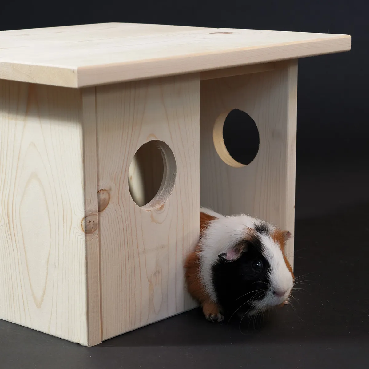 Jouw Cavia Schuilplek Syn M Schuilhuis Vurenhout