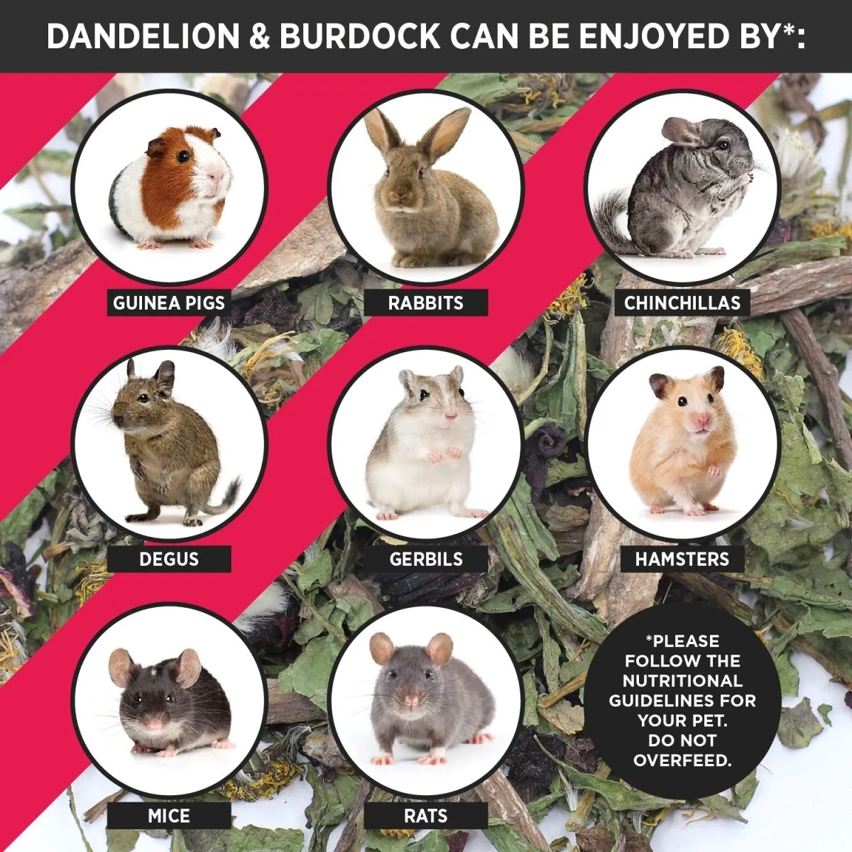 HayPigs Pig n Mix Dandelion & Burdock snackmix 150g vezelrijk