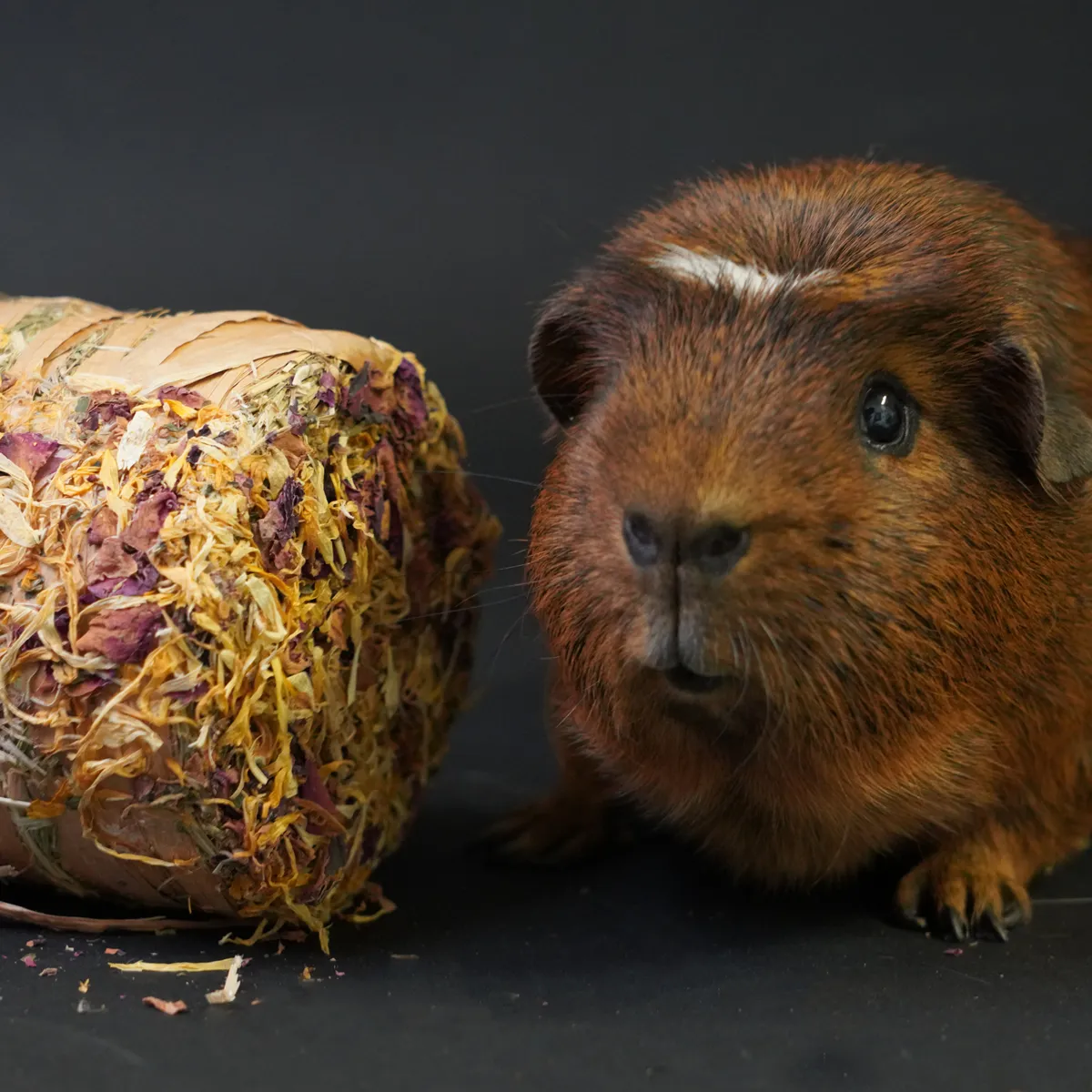 Hayroll Bloemenmix hooirol snack natuurlijk