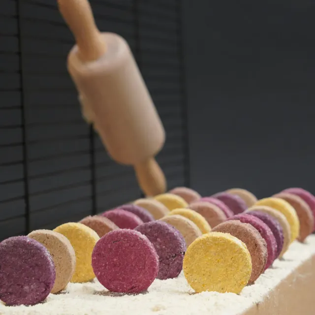 Jouw Cavia Cookie Mix fruits snack koekjes natuurlijk