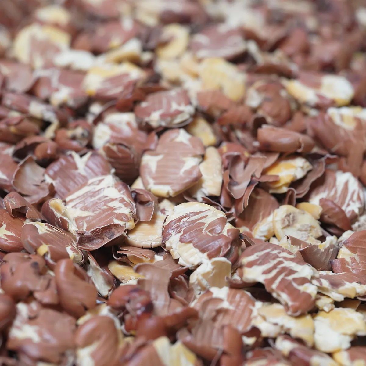 Jouw Konijn Originals Bonenvlokken konijnensnack eiwitrijk