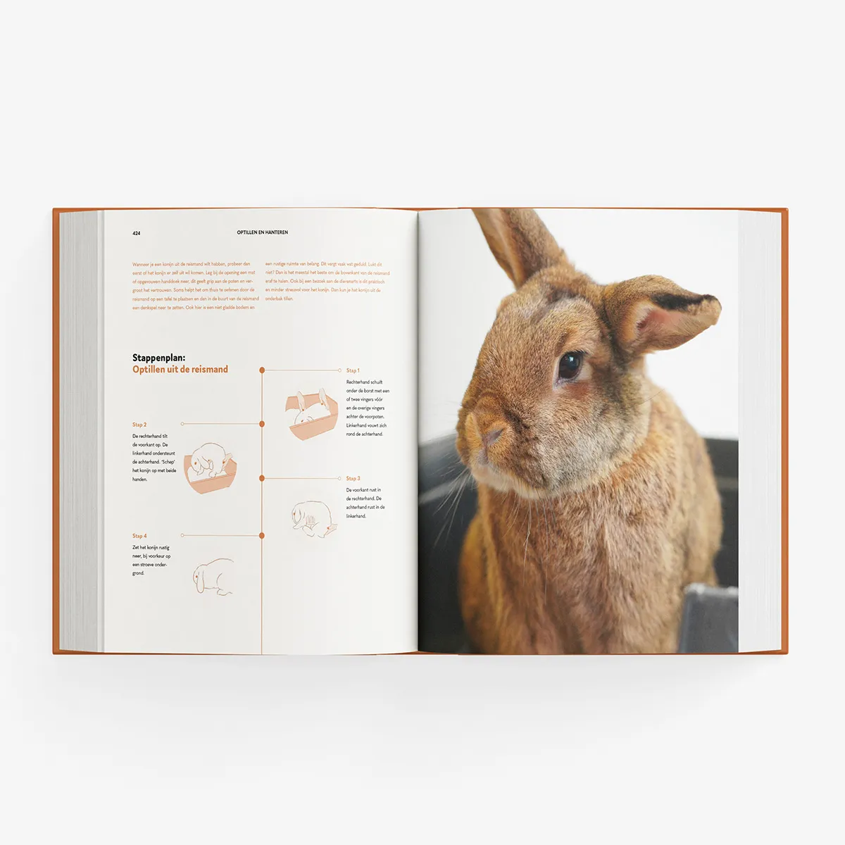 Jouw Konijn Originals A tot Z Konijnen boek Bernice Muntz