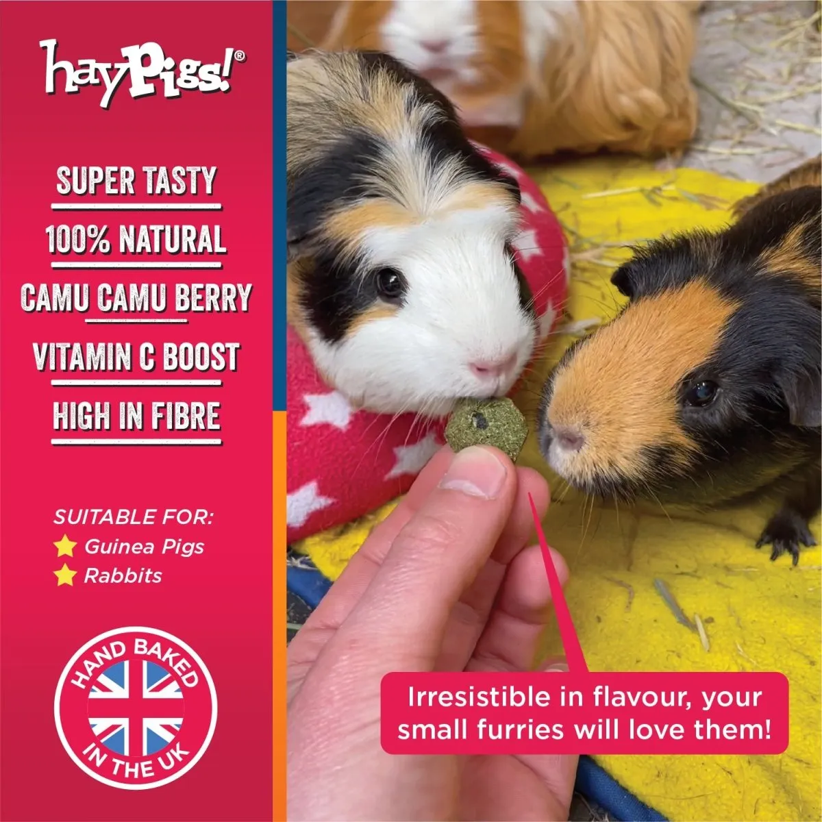 HayPigs Piggy Nom Noms proefset snacks 2 x 70g vitamine C