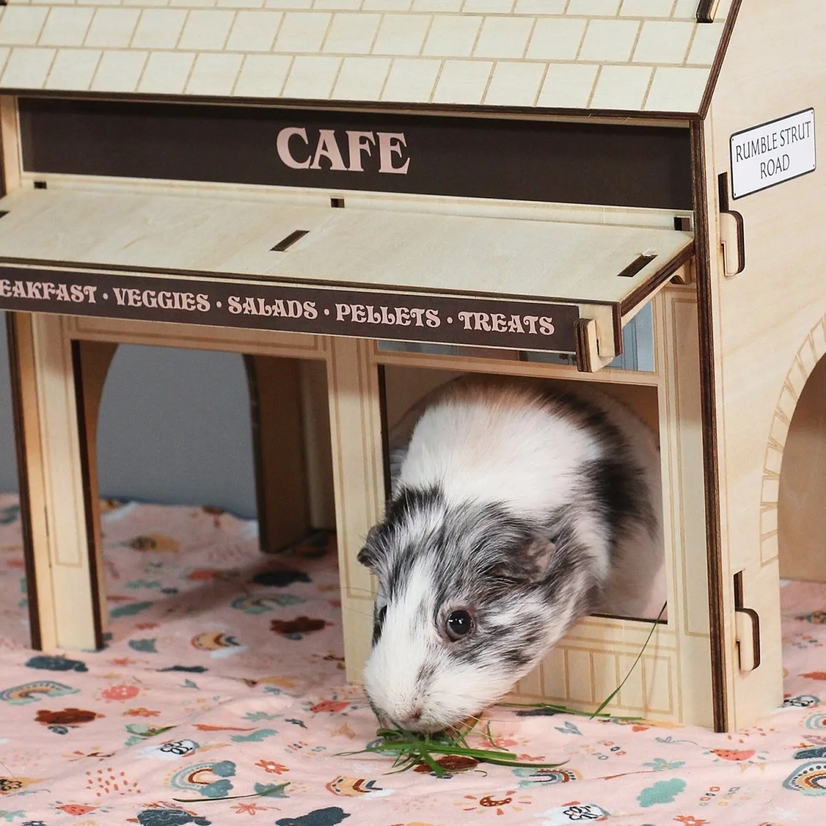 HayPigs Guinea Pig Café schuilhuis hout 34x22x39cm knaagbaar