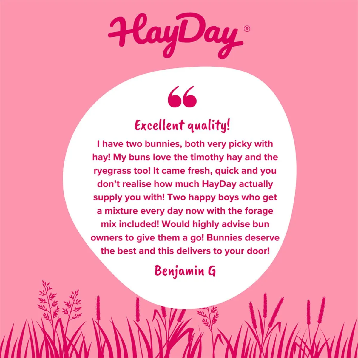 HayPigs HayDay Sweet & Munchy hooi 1kg zoet raaigras