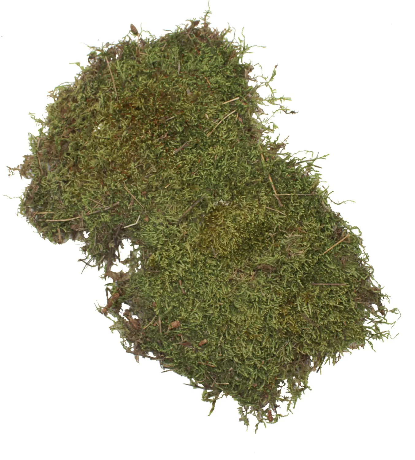 Bounty Paradise TH Moosplatten terrariummos 150 gram natuur