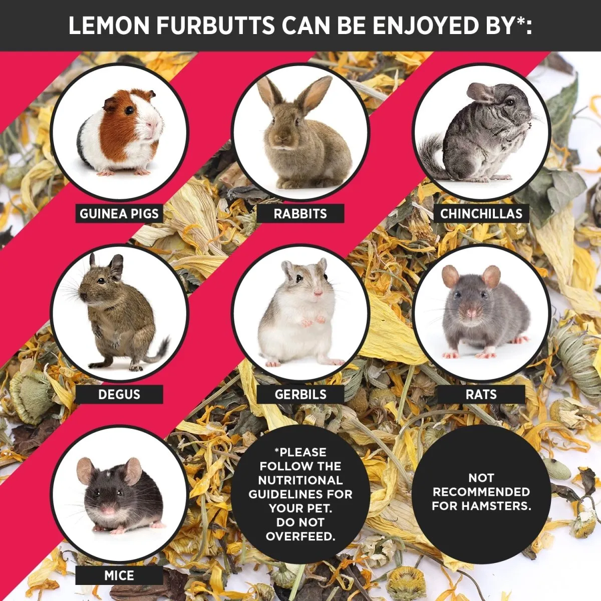HayPigs Lemon Furbutts snack 90g citroen navulzak