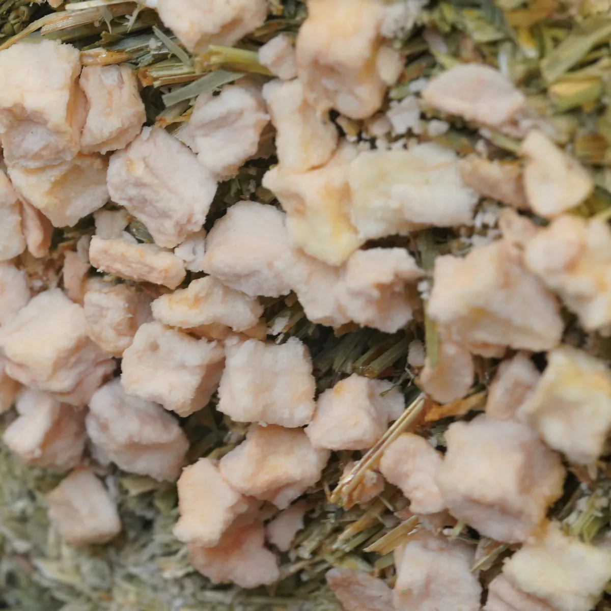 Jouw Cavia Hay Cake hooikoek appel vitamine C