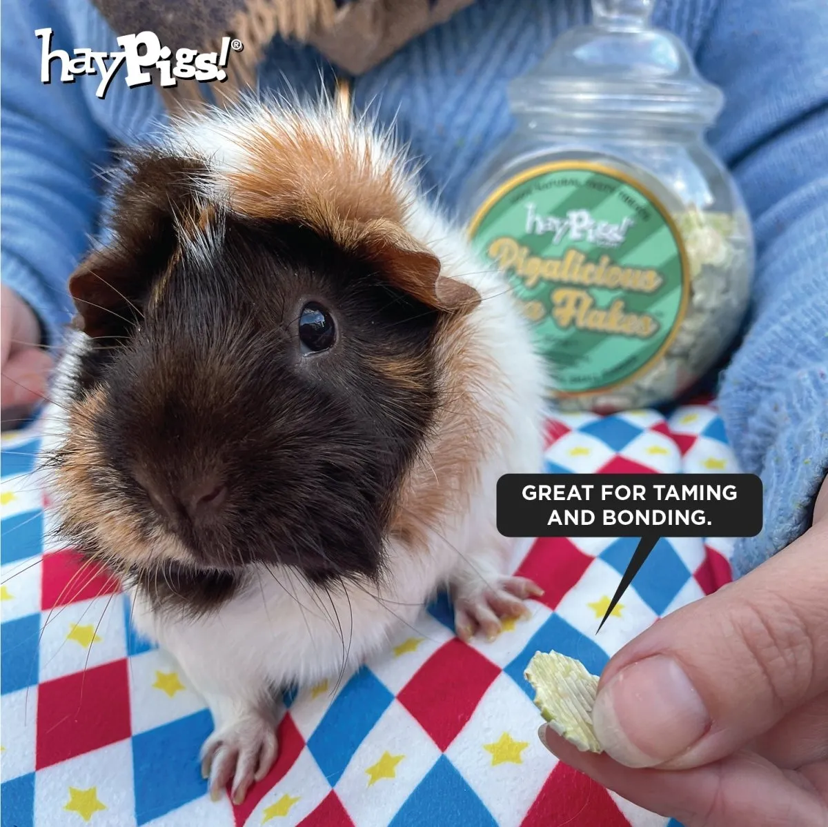 HayPigs Pigalicious Pea Flakes snoep cavia erwten 300 g eco