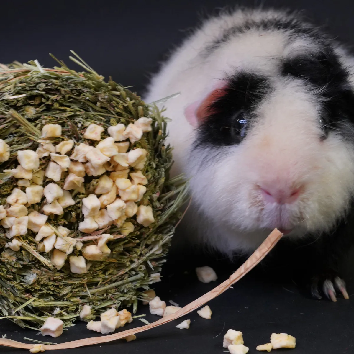 Jouw Cavia Hay Cake pastinaak hooikoek vezelrijk