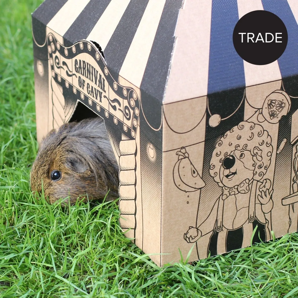 HayPigs Pig Top Playhouse speelhuis 21 stuks 33x33x40cm