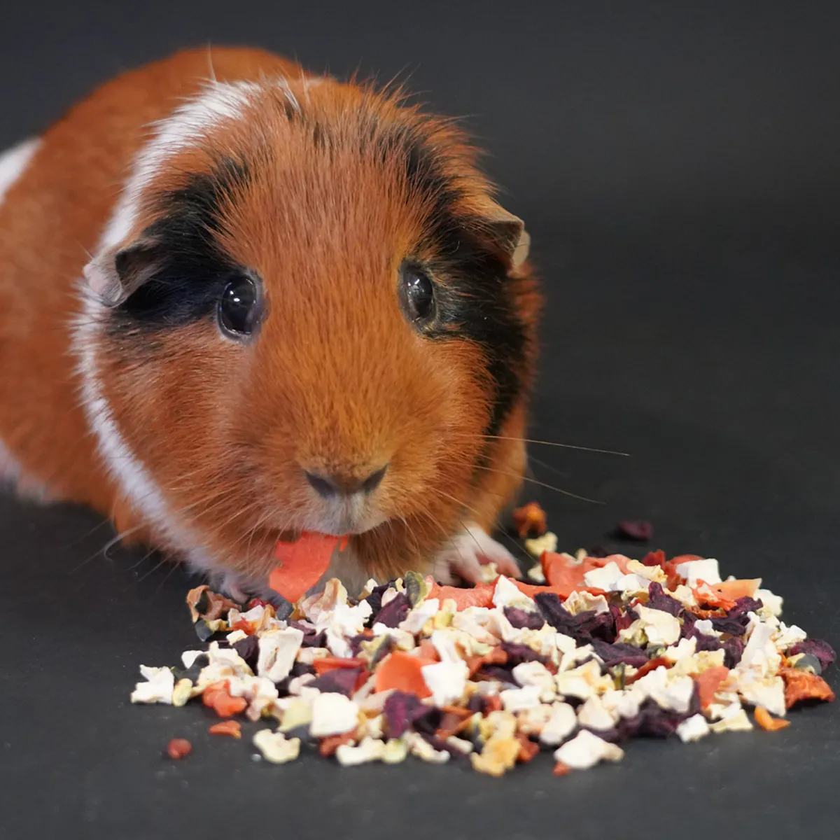 Jouw Cavia Snackmix biet & selderie caviasnack met vezels
