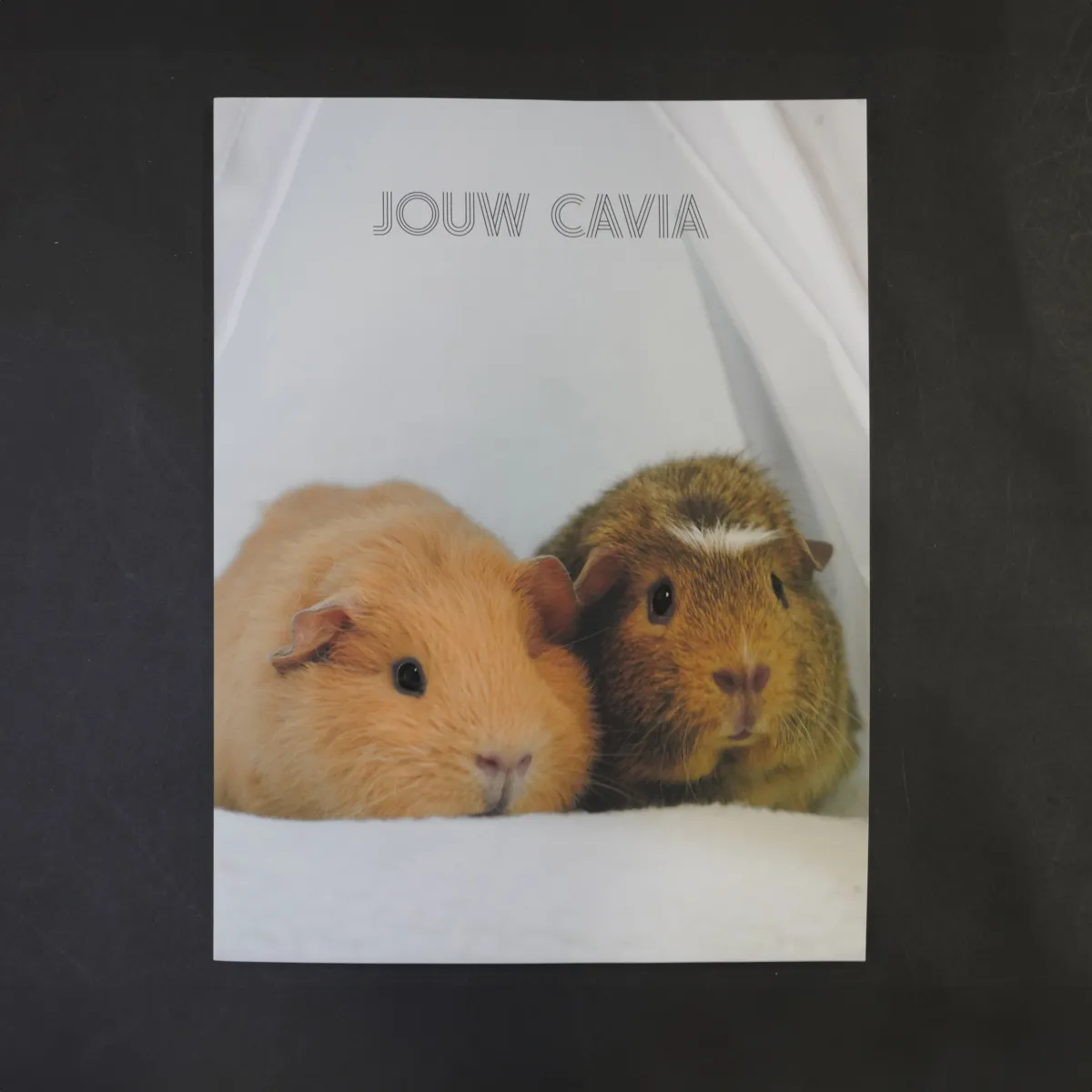 Jouw Cavia boek verzorging huisvesting en voeding