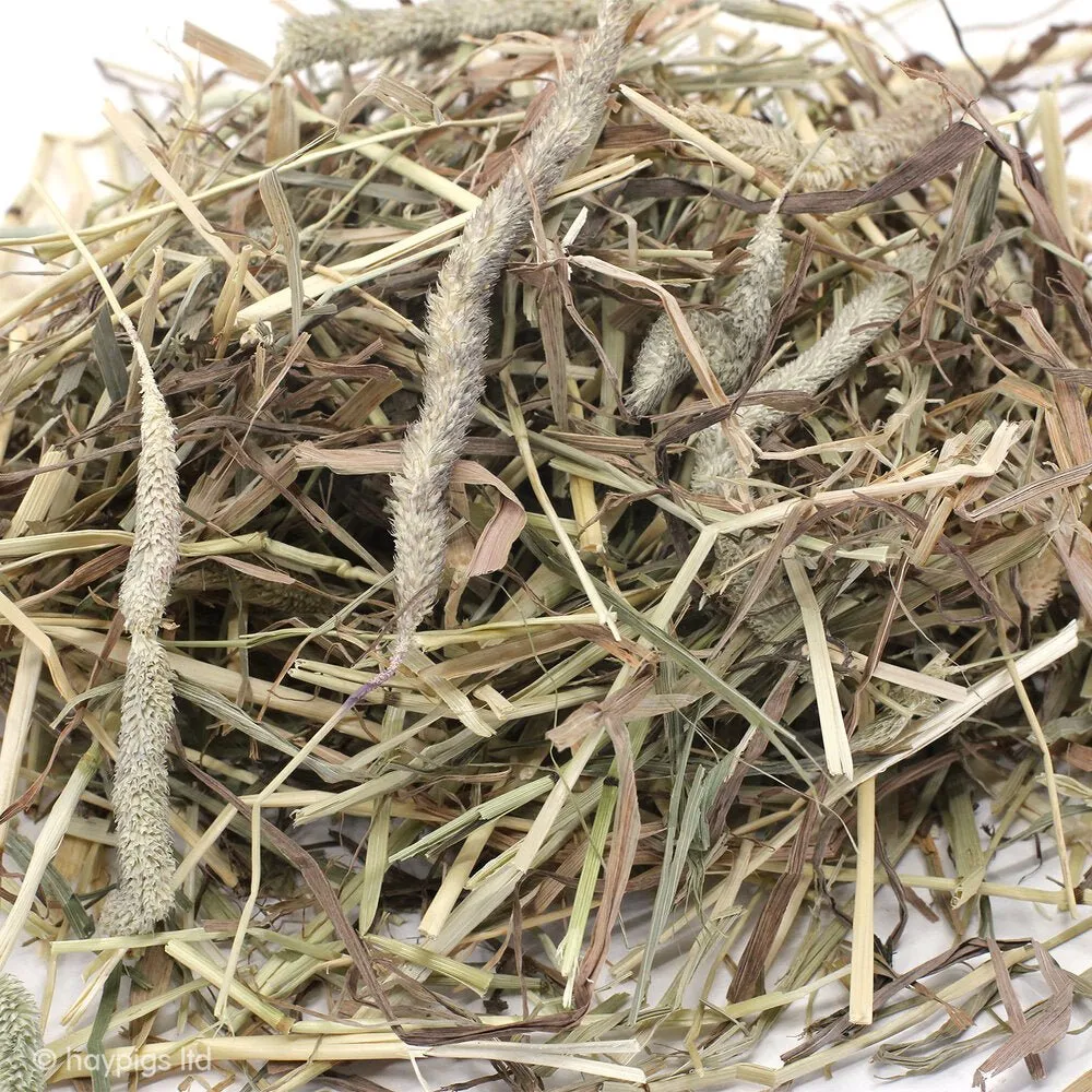 HayPigs Timothy Hay hooi 8x1kg 1e snede vezelrijk