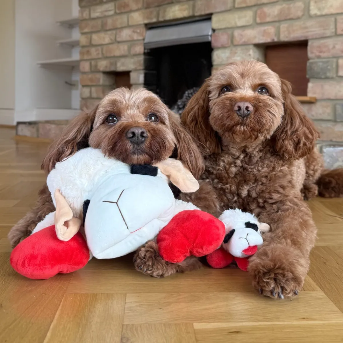 Nature First Lamb Chop pluche hond large met piep