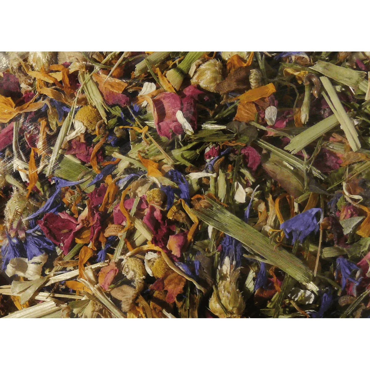 Bounty Paradise Nagertraum Blumenwiese knaagvoer bloemenmix