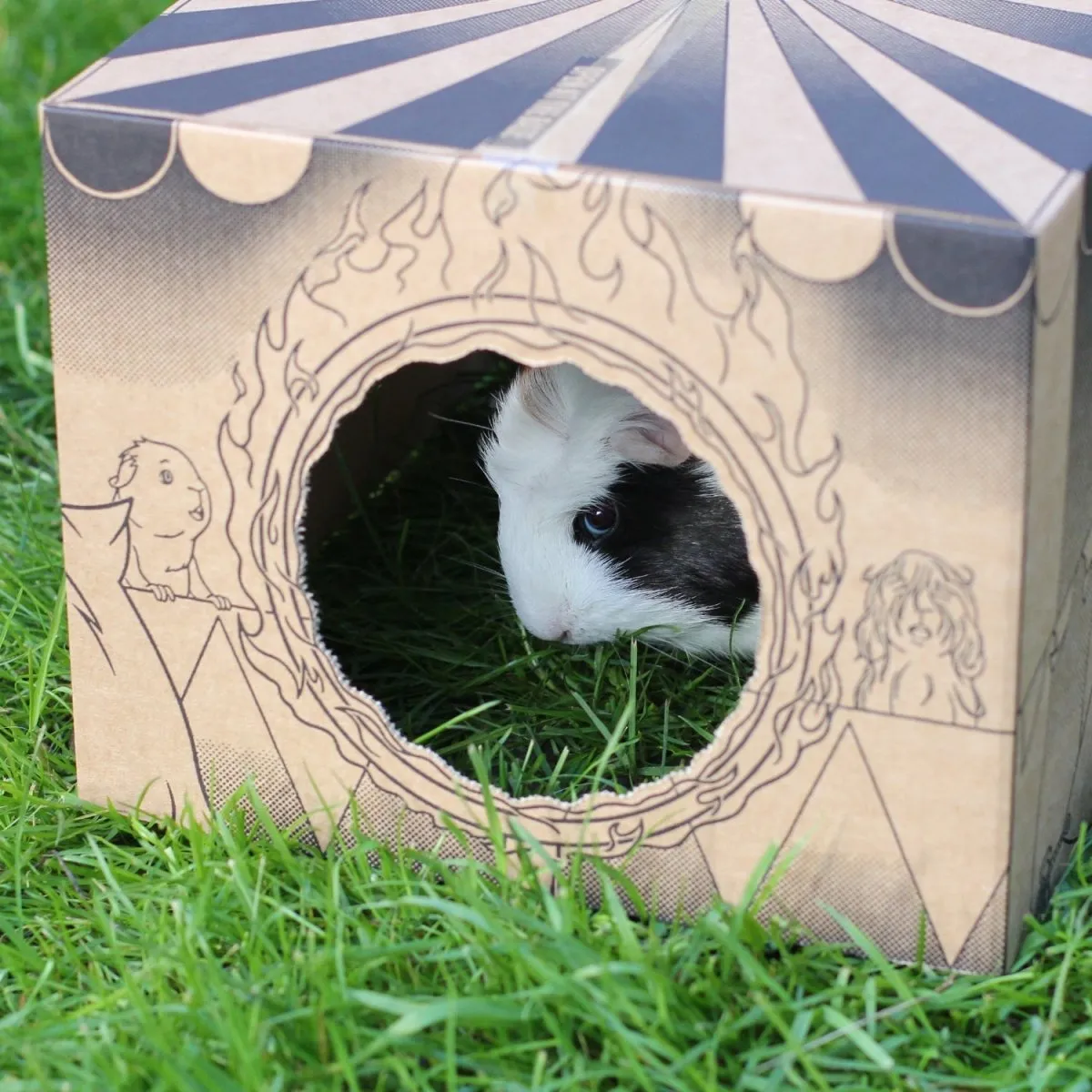 HayPigs Junior Playhouse schuilhuis 3 stuks karton 30cm