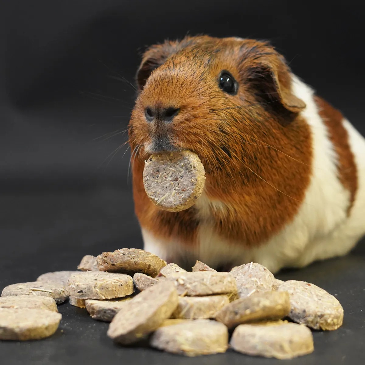 Jouw Cavia Care Treats Calm & Relax caviasnack ontspanning