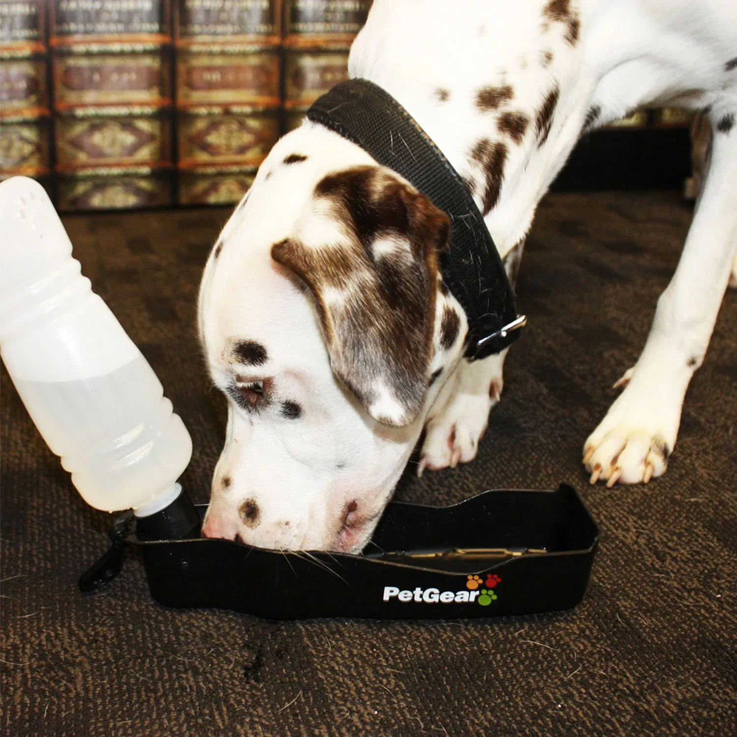 Nature First Travel drinkfles hond lekvrij met bakje