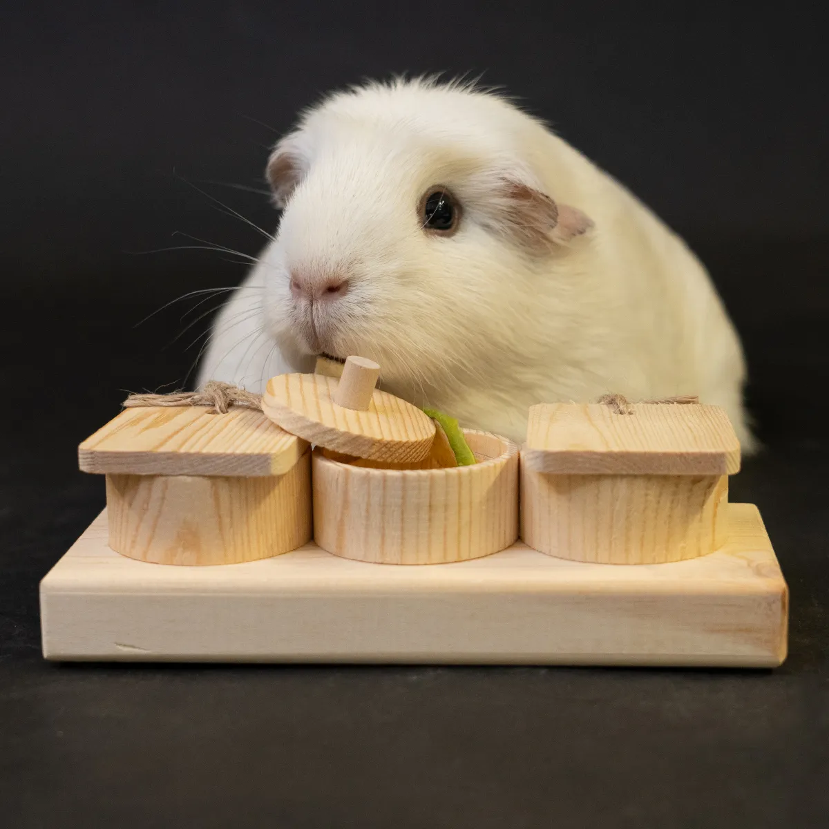 Jouw Cavia Lift & Find Mini denkspel hout