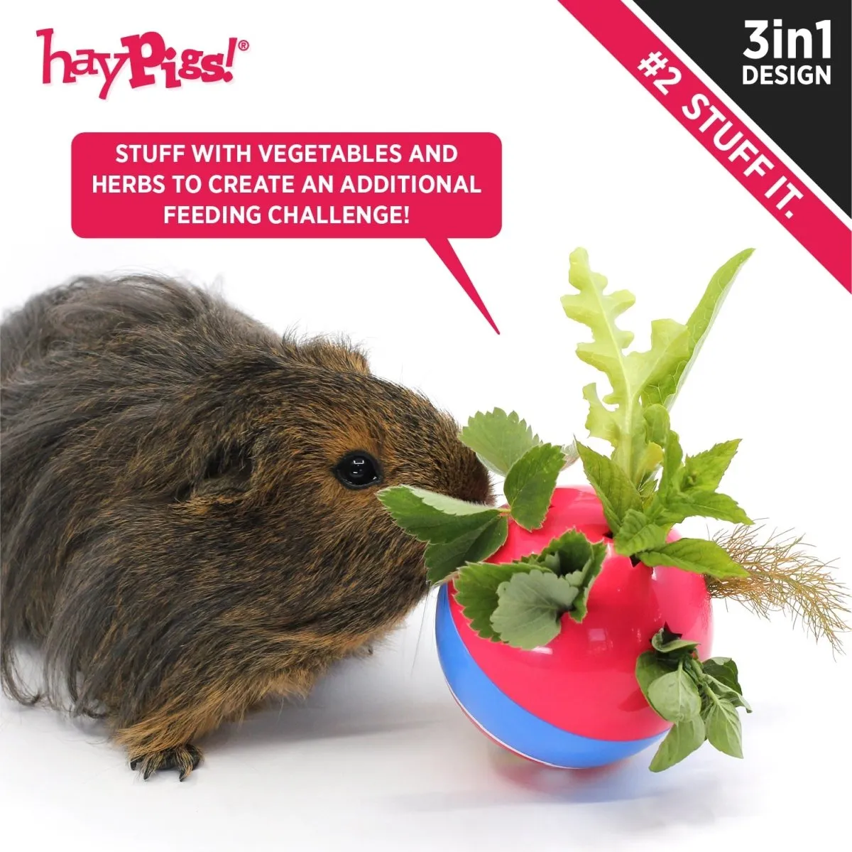 HayPigs Circus Treat Ball snackbal 3-in-1 kunststof