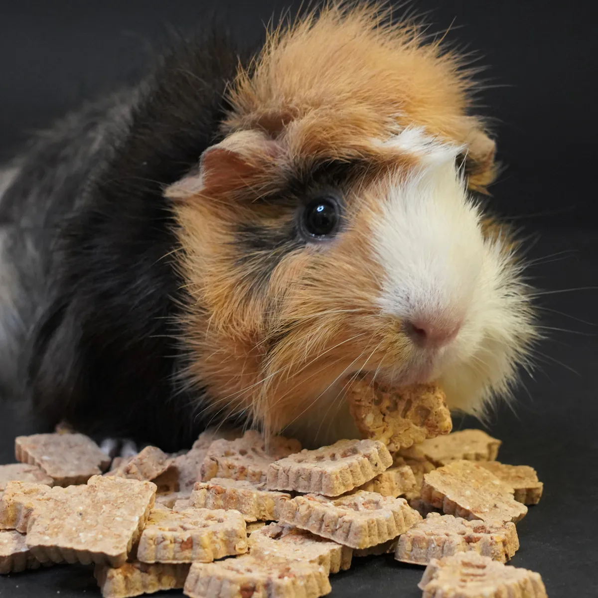 Bunny Nature Crunchy cracker appel snack