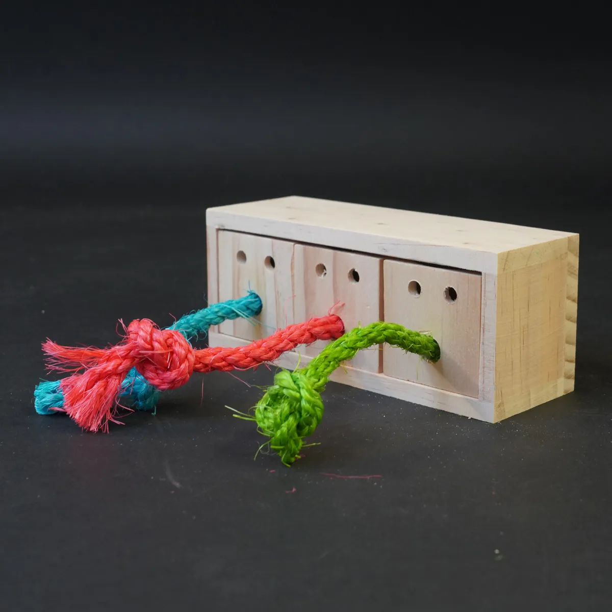 Jouw Cavia Pull & Find Wood denkspel hout puzzel