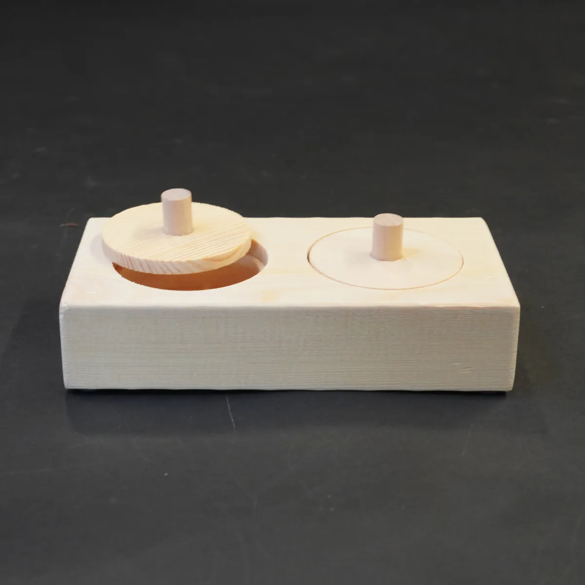 Jouw Cavia Pick & Find Mini houten spel denkspel