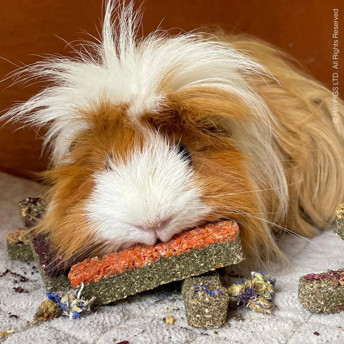 HayPigs Sunshine Treats snackbundel 6-delig bloemen