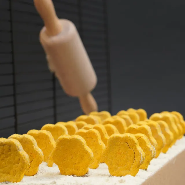 Jouw Cavia Crispy Carrot Cookies cavia koekjes wortel