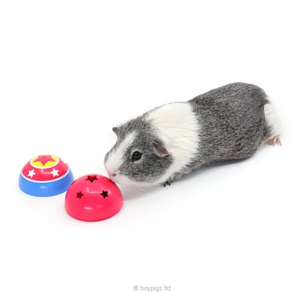 HayPigs Circus Treat Ball traktatiebundel snacks