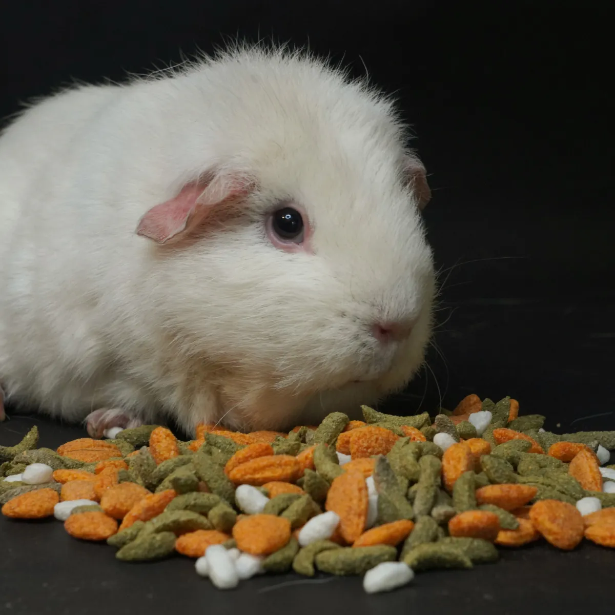 Jouw Cavia Tasty Treasure Snackmix caviasnack natuurlijk