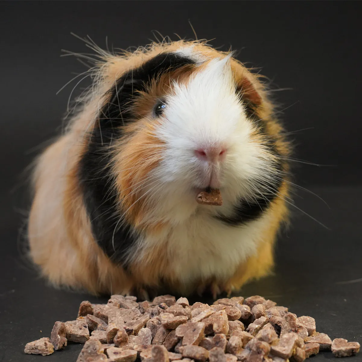 Jouw Cavia My Little Sweetheart Cookies bosvruchten caviakoekjes suikervrij