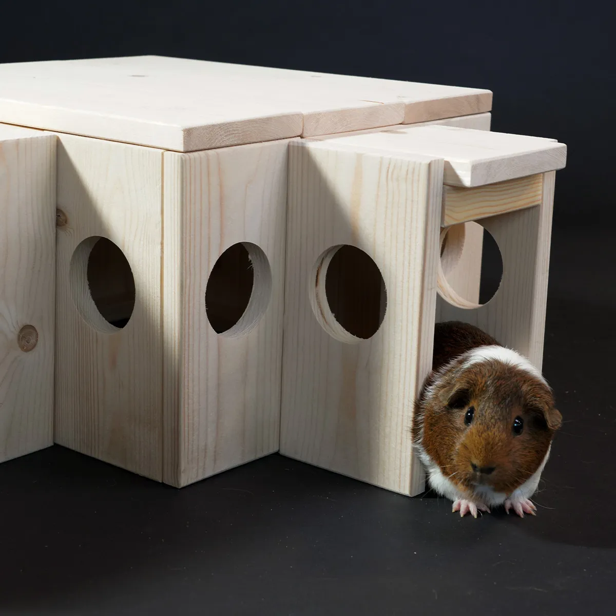 Jouw Cavia Frigg Tunnel S houten schuiltunnel