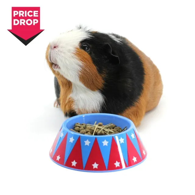 HayPigs Junior Food Tamer voerbakje mini kantelvast