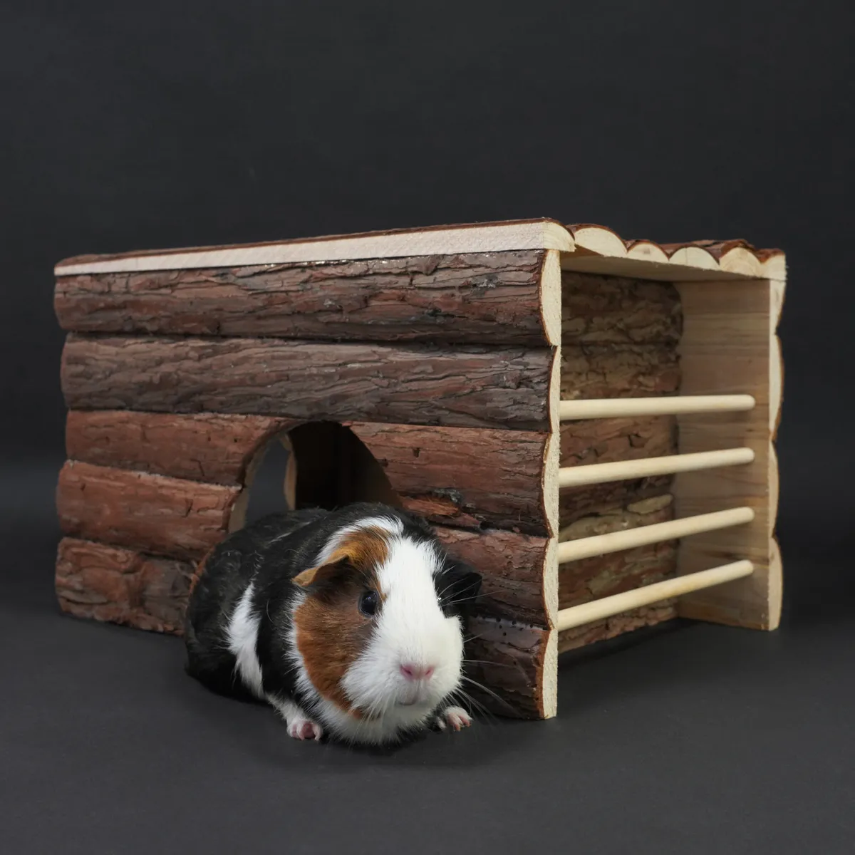 Jouw Cavia Hide Hut schuilhuisje harsvrij hout