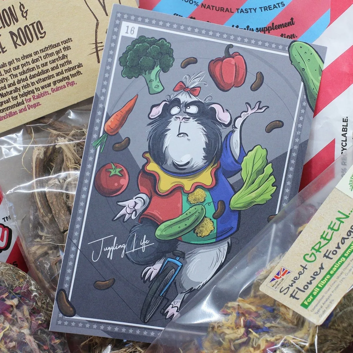 HayPigs Treat Box #16 snackbox voor cavia's 7-delig