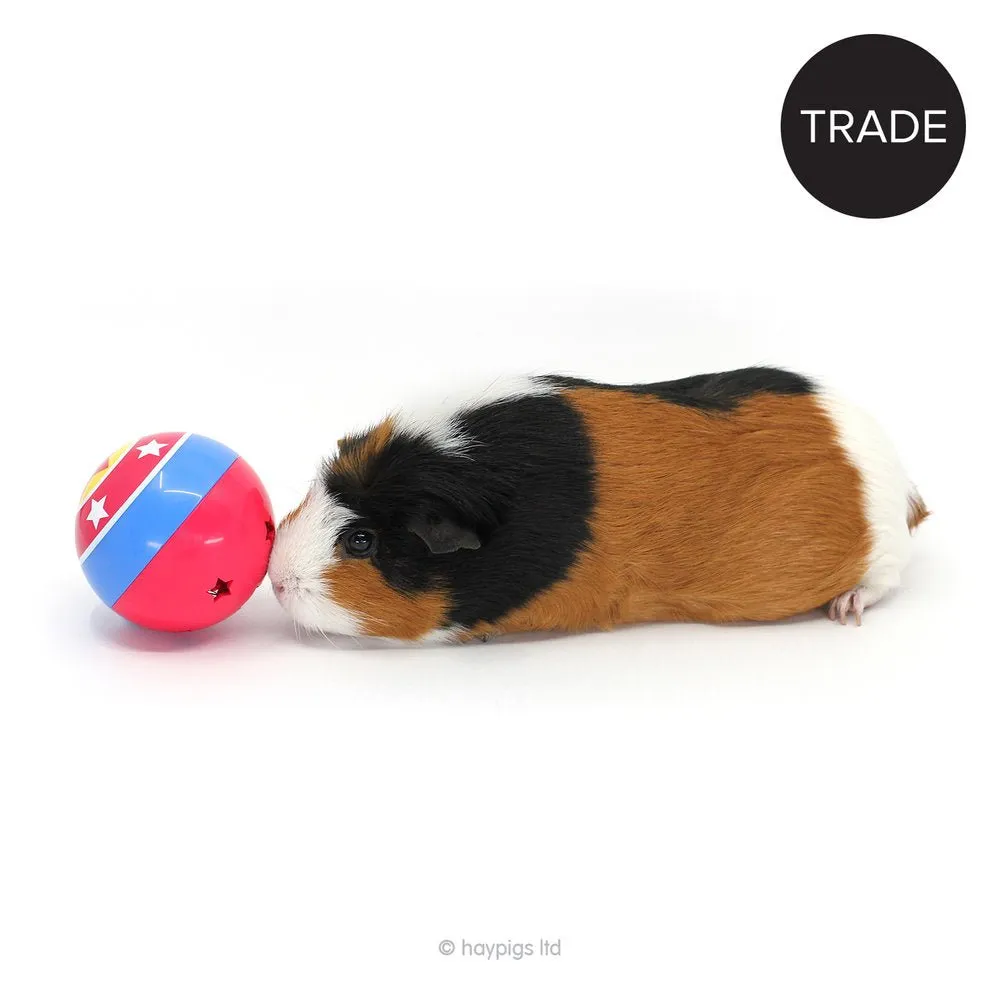 HayPigs Circus Treat Ball snackbal 3-in-1 los