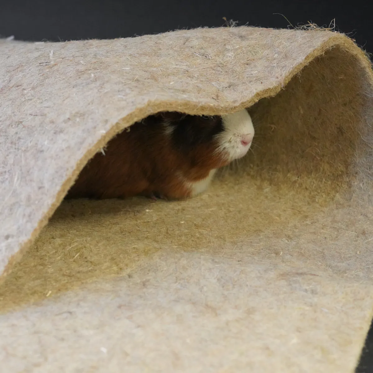 Jouw Cavia hennepmat XL bodembedekker natuurlijk