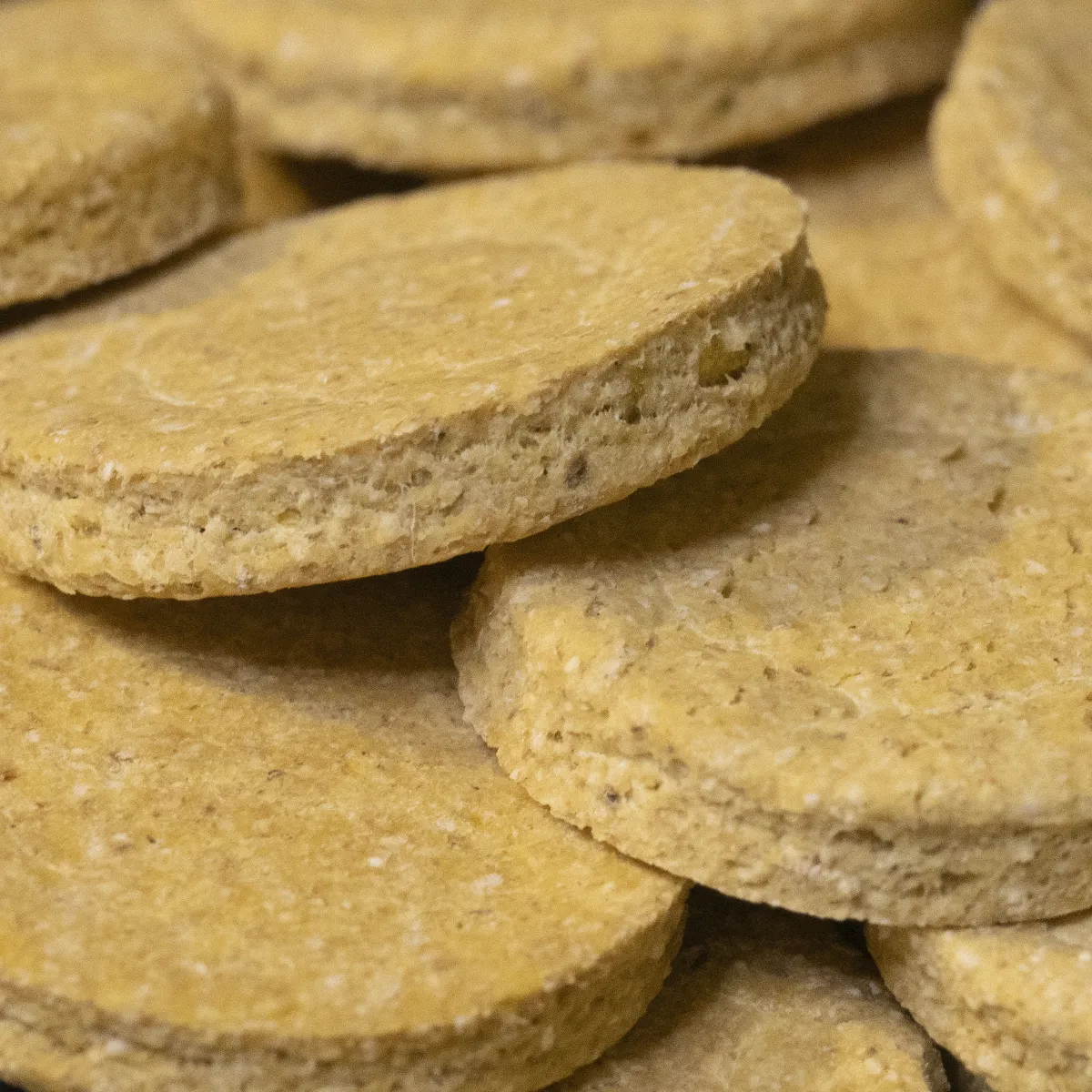 Jouw Cavia Mango Dream Cookies caviasnack mango