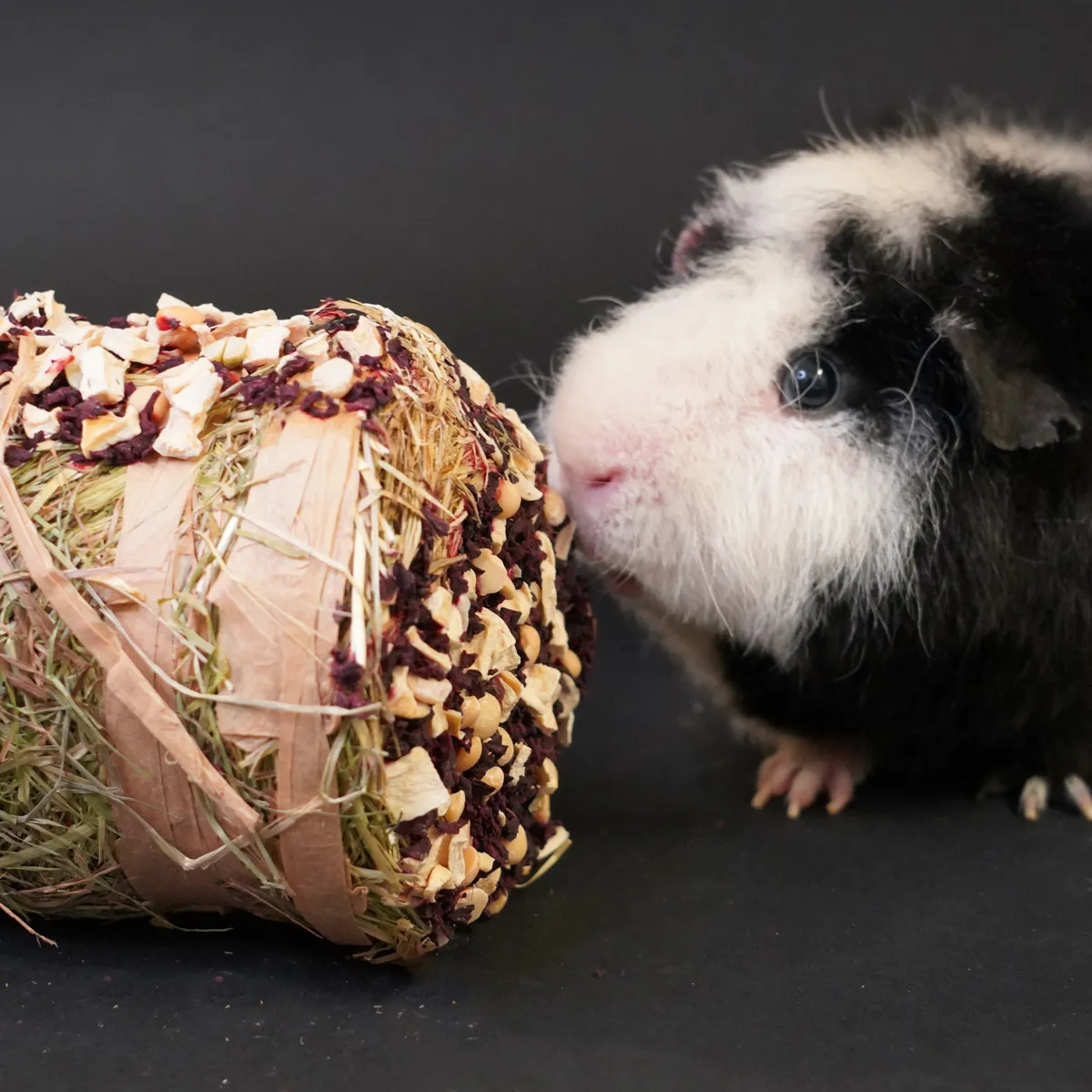 Jouw Cavia Hayroll hooirol biet pastinaak snack