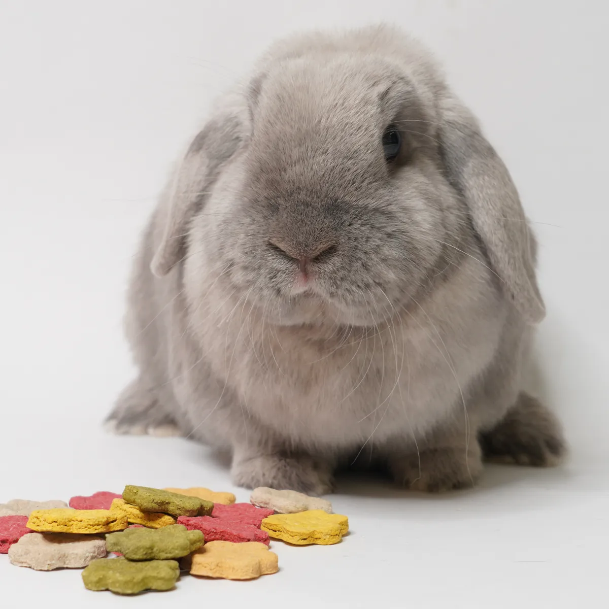 Jouw Konijn Originals Cookie Mix Veggies konijnenkoekjes natuurlijk