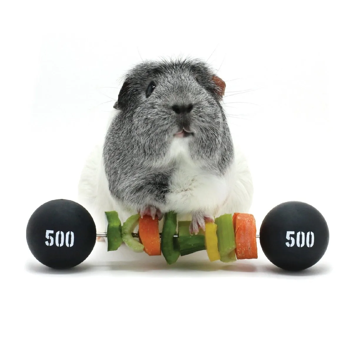 HayPigs Piggy Weightlifter groentespies 21,5 cm