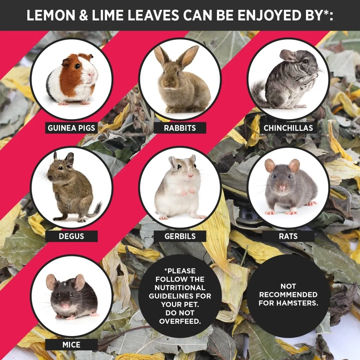 HayPigs Lemon & Lime Leaves snack 90 g navulzak
