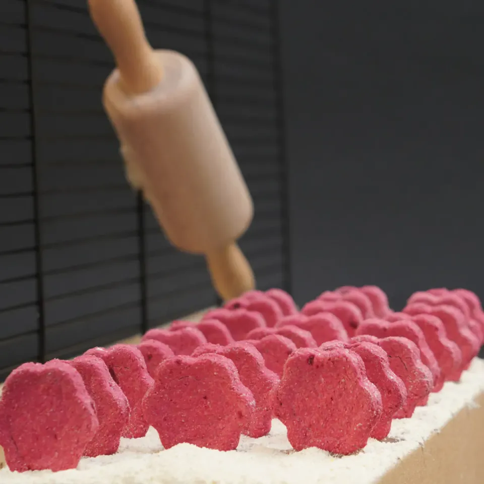 Jouw Cavia Best of Beetroot koekjes rode biet