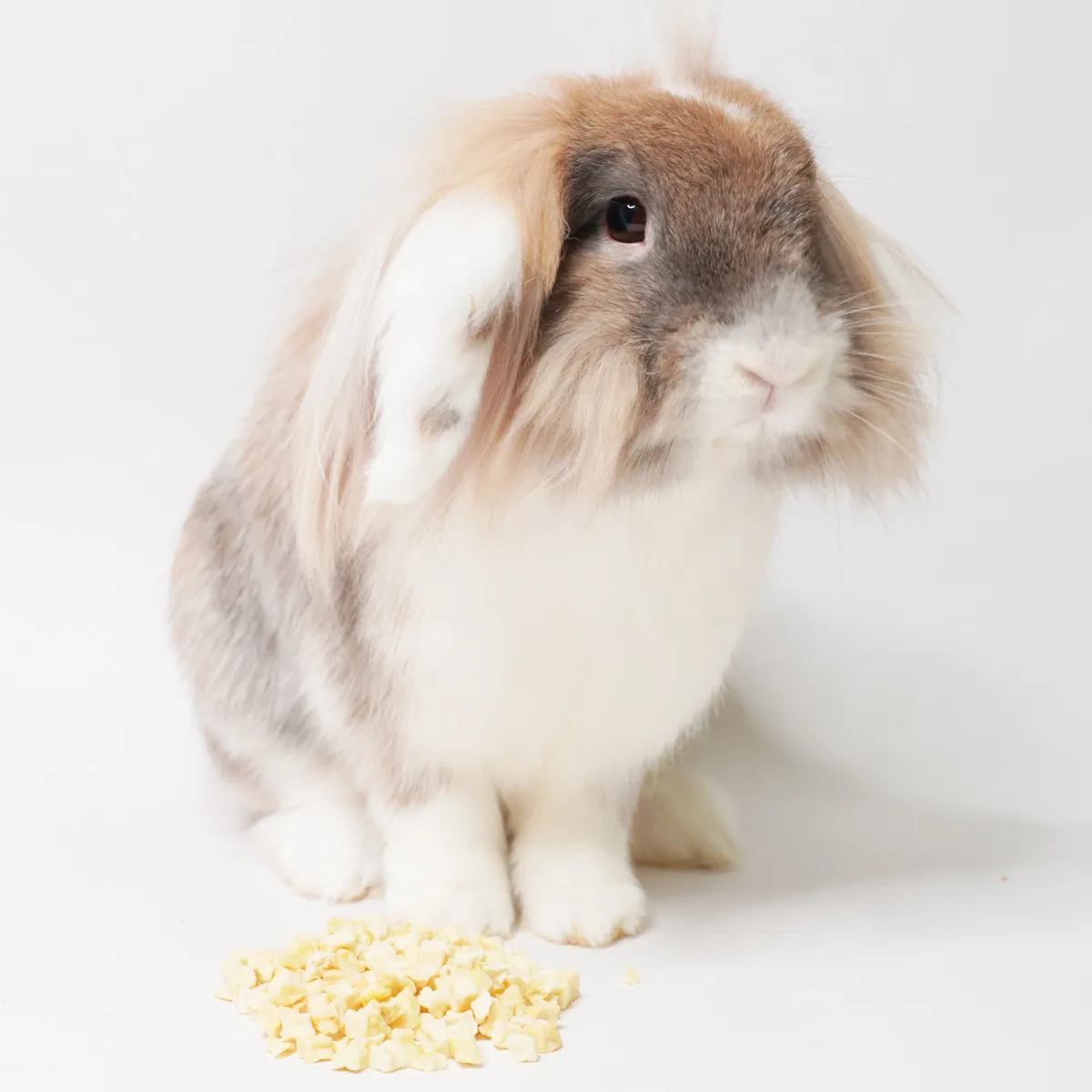Jouw Konijn Originals Appelblokjes snack vitamine C