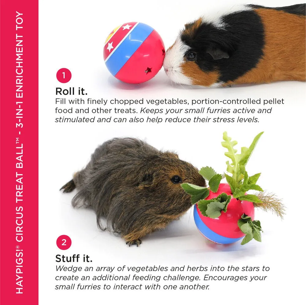 HayPigs Circus Treat Ball snackbal 3-in-1 kunststof
