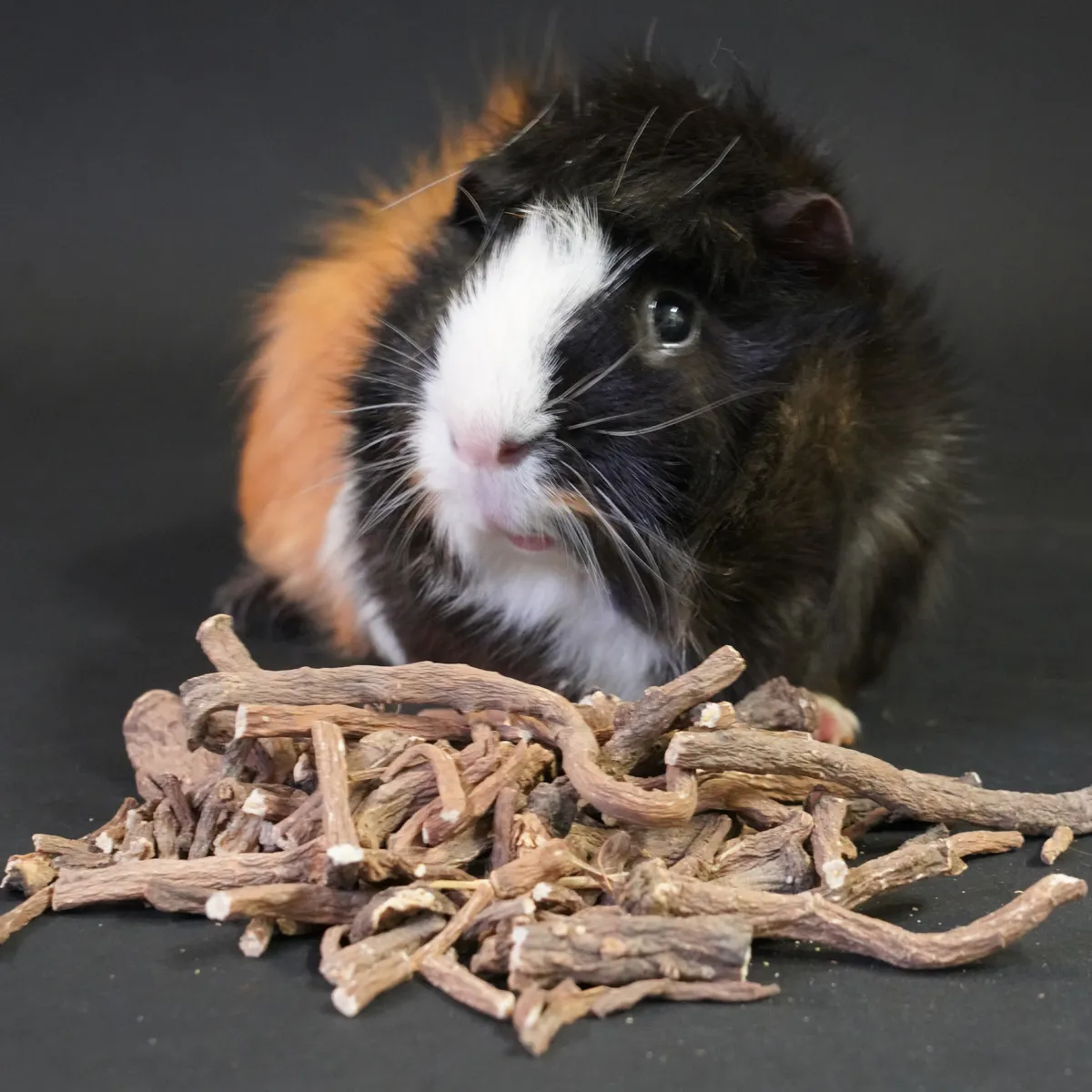 Jouw Cavia paardenbloemwortels natuurlijke knaagsnack cavia